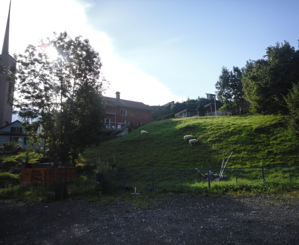 026. Poranny spacer po Buchs