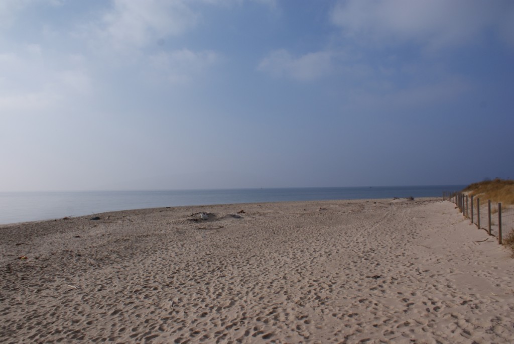 SONY DSC