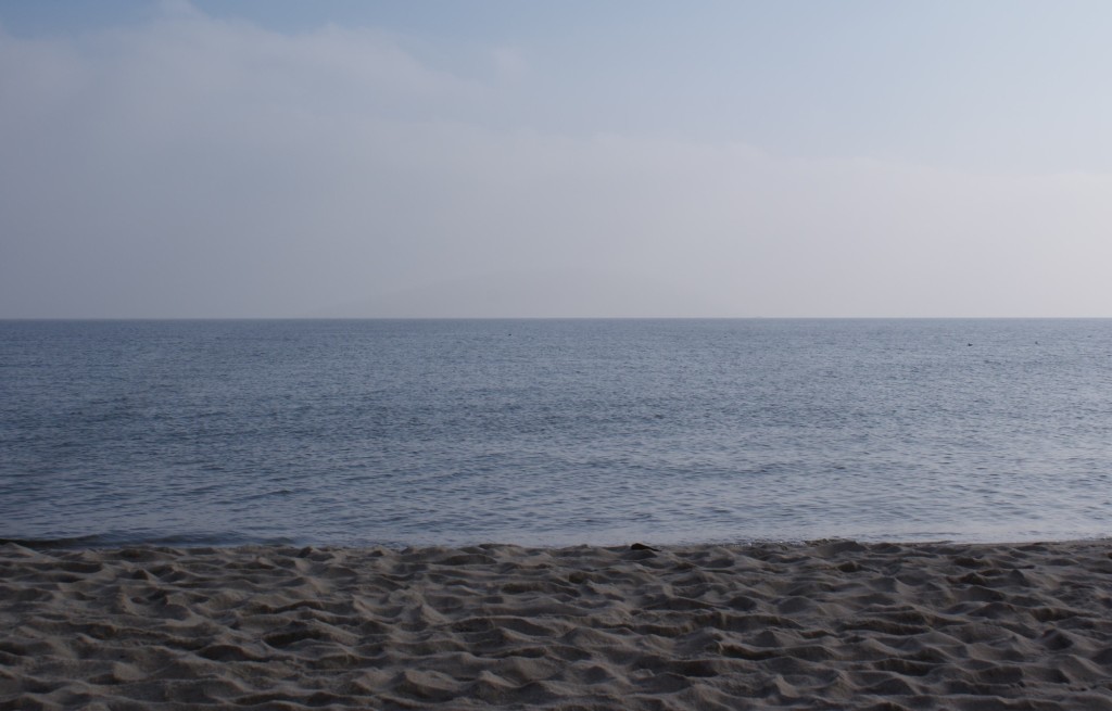 SONY DSC