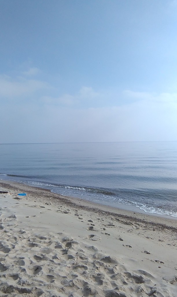 IMAG0284