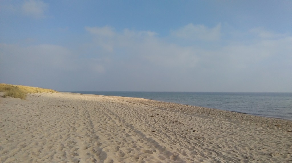 IMAG0286