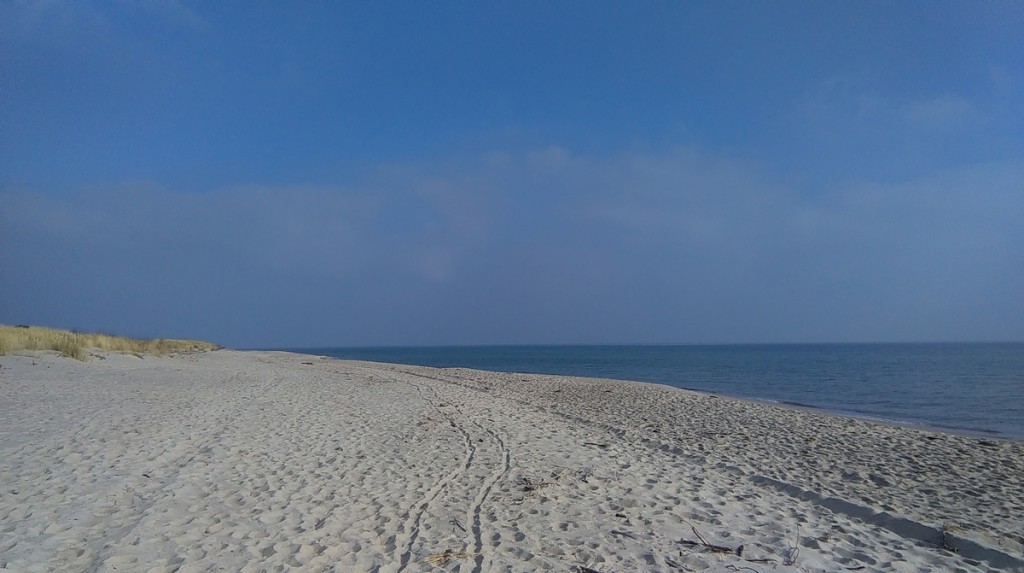 IMAG0288