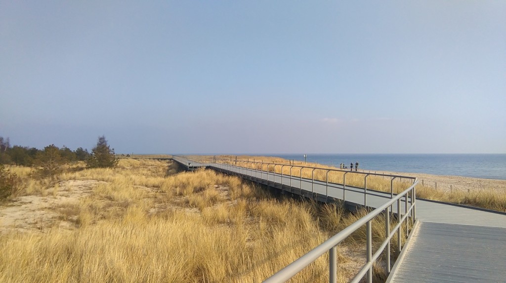 IMAG0293