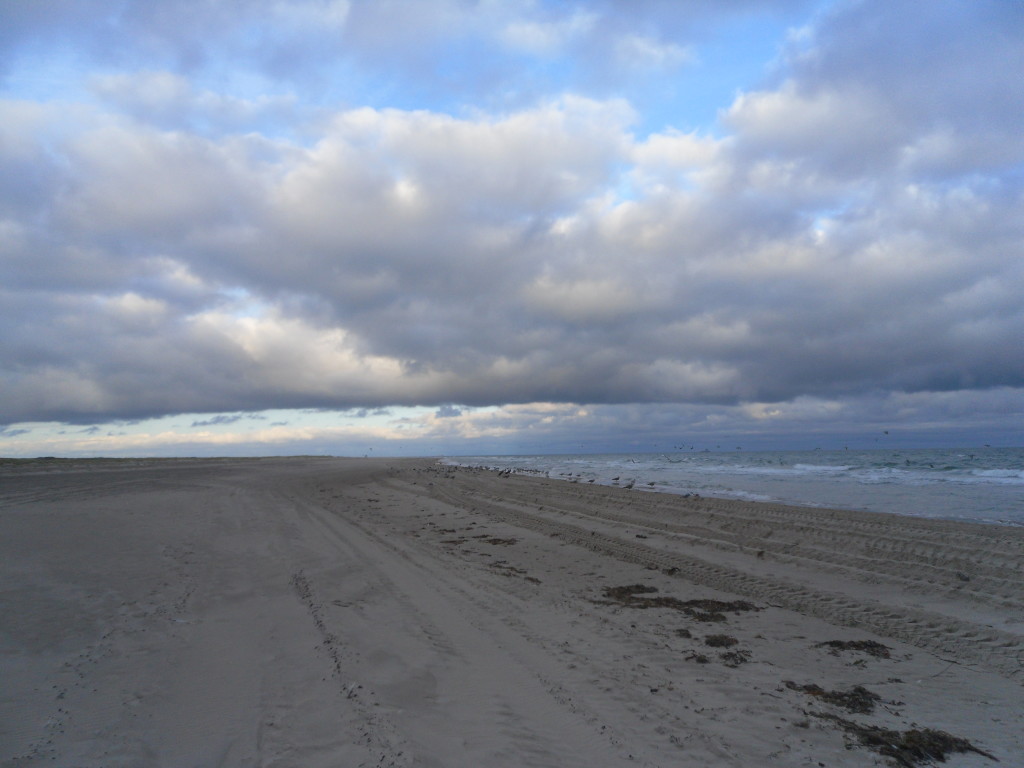 Grenen