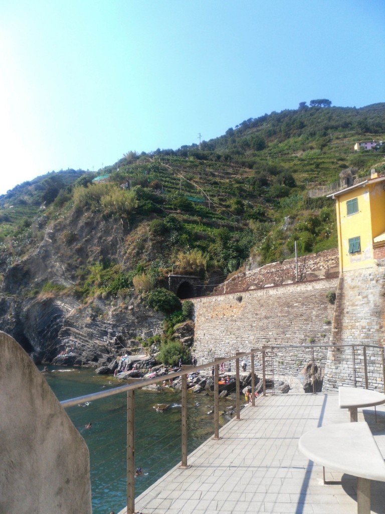 SAM_7453