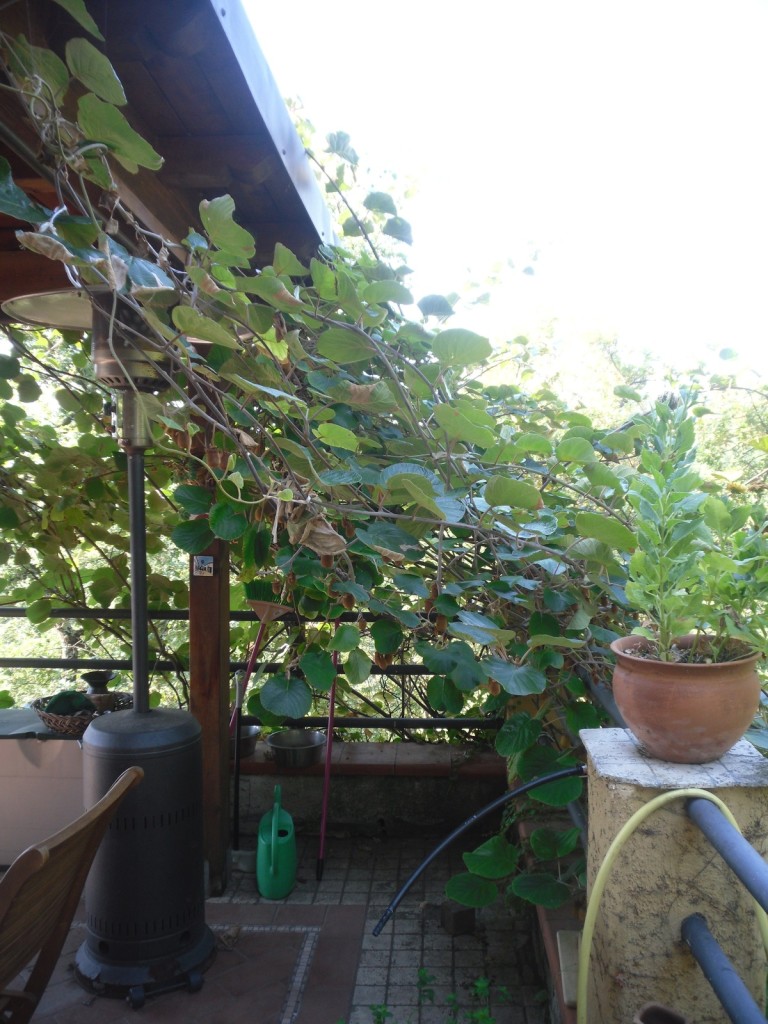 030. Al Begarino