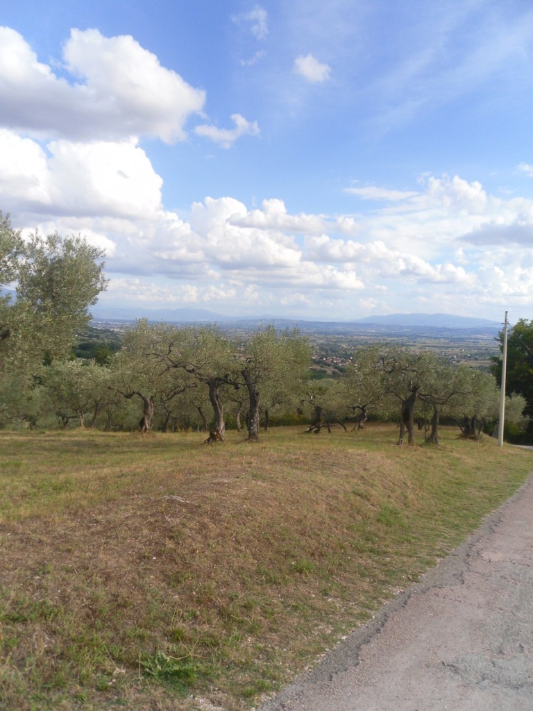 126. Do San Damiano