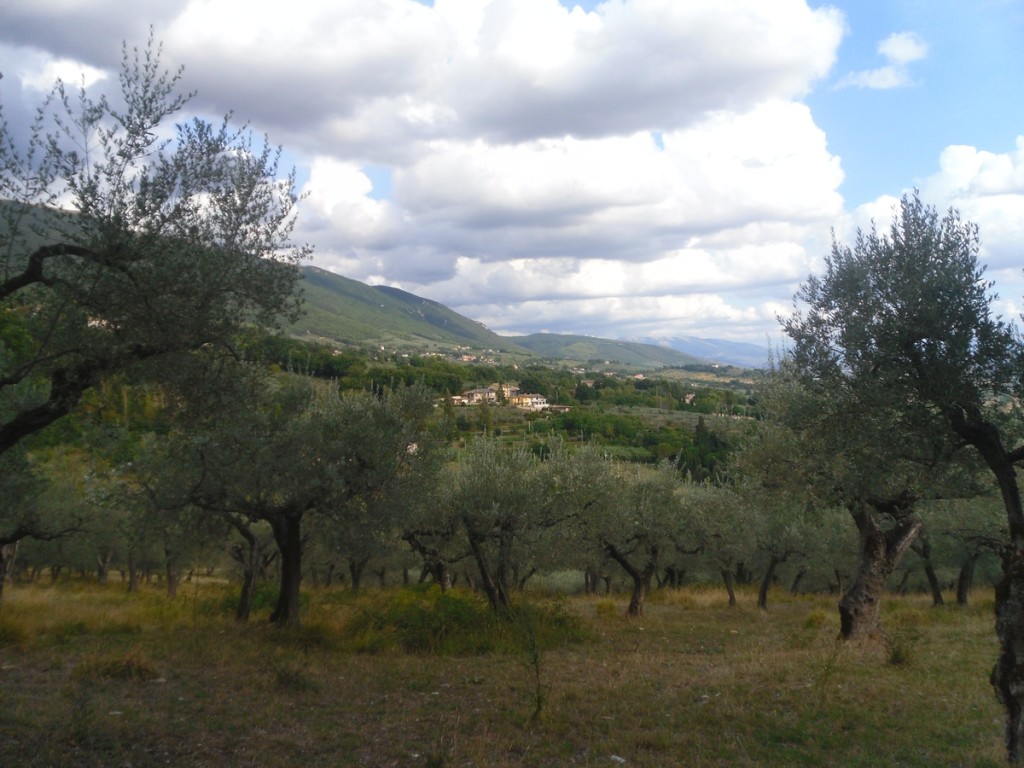 127. Do San Damiano