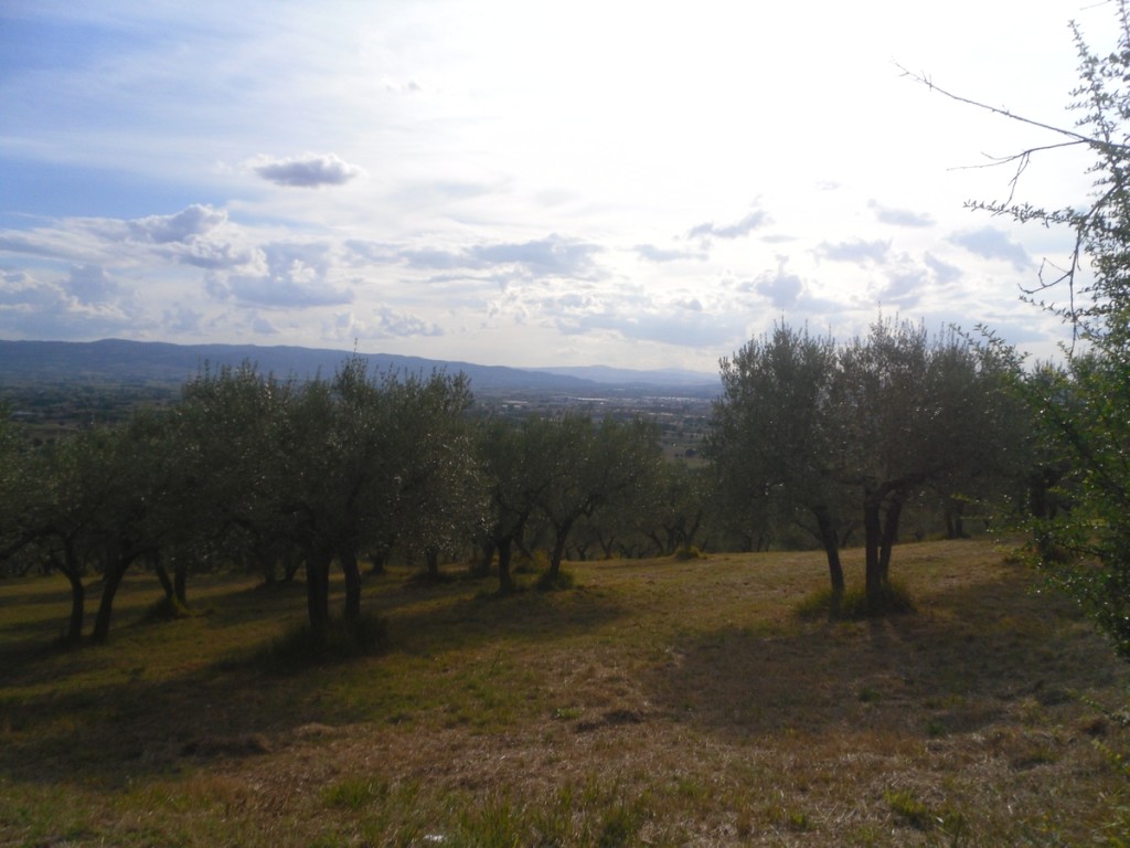 129. Do San Damiano