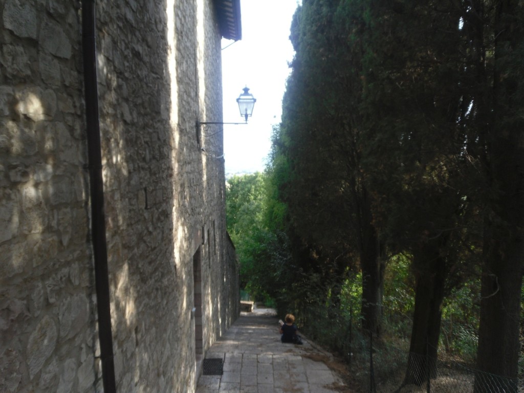 132. San Damiano