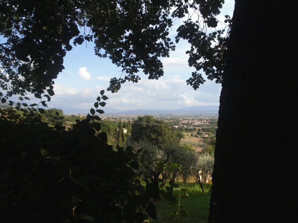 134. Z San Damiano