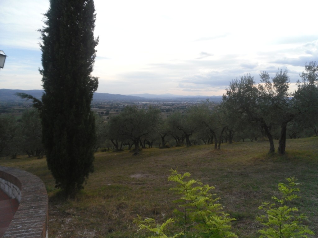 139. Z San Damiano