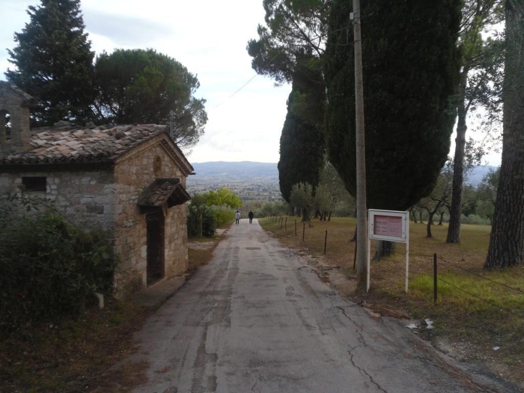 141. Z San Damiano