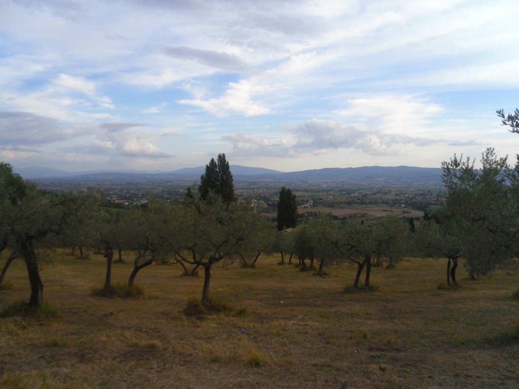 144. Z San Damiano