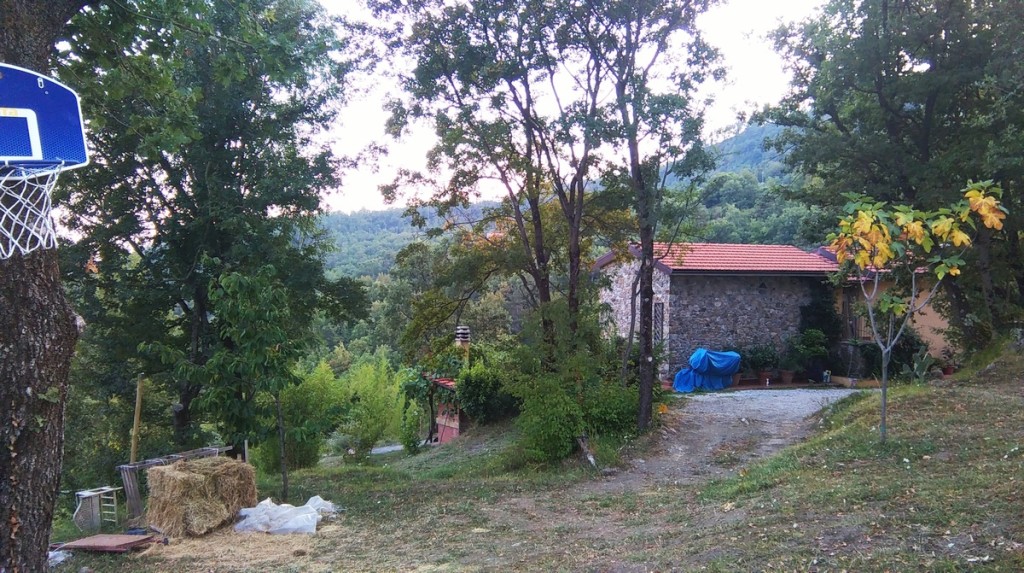 Obraz 021