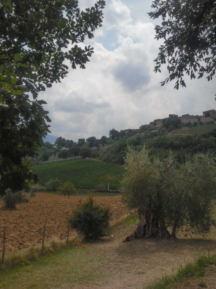 Sant'Antimo-10
