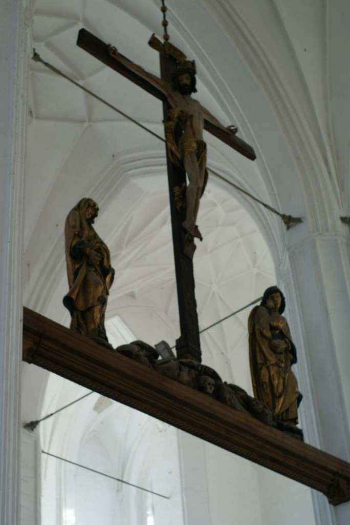 SONY DSC